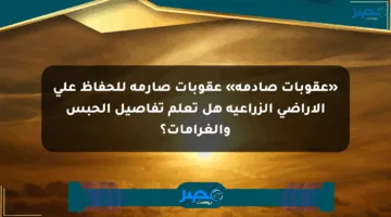 «عقوبات صادمة» عقوبات صارمة للحفاظ على الأراضي الزراعية هل تعلم تفاصيل الحبس والغرامات؟
